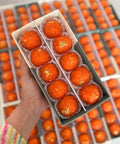 Orange motichoor ladoo garnished with nuts - Diwali Special 10 Ladoos Box – Assorted Flavors